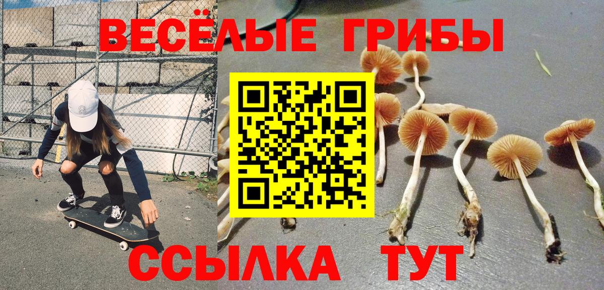 Псилоцибиновые грибы MAGIC MUSHROOMS  Галлюциногенные грибы прущие грибы  Белая Калитва  Вход с VPN 